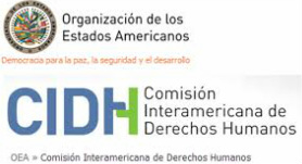 comisión interamericana de derechos humanos